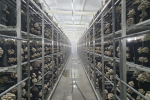 Blocks machine